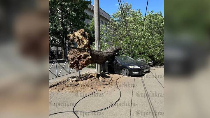 Краснодарцев предупредили об опасности ураганного ветра