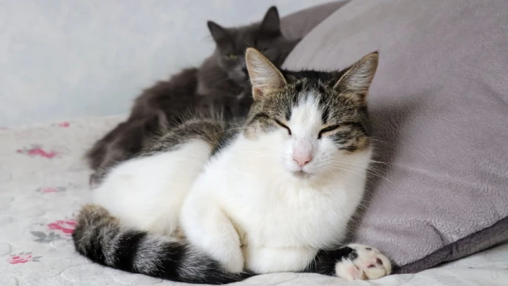 Русских предупредили о шестидневной рабочей неделе. Единственной за год