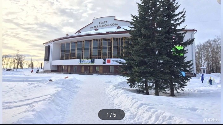на Авито мошенники продают билеты в архангельские театры по сказочным ценам