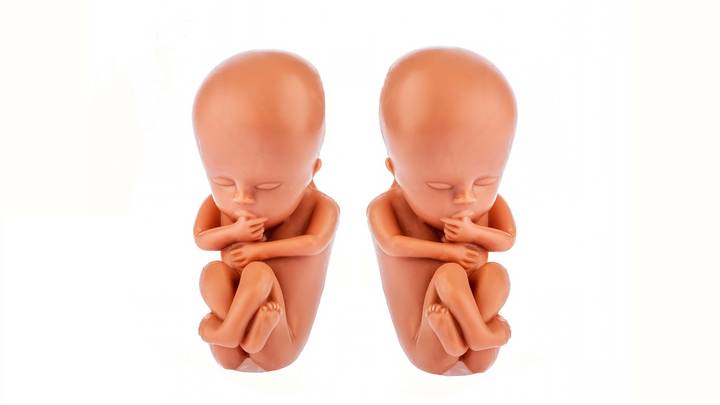 Откуда взялся миф, что аборт - это не убийство: Экс-депутат Госдумы назвал источник проблемы