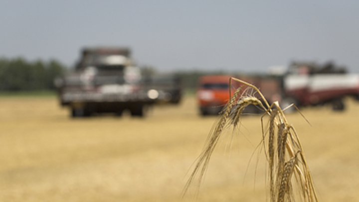 Россия окажет помощь сельхозпроизводителям Запорожской области