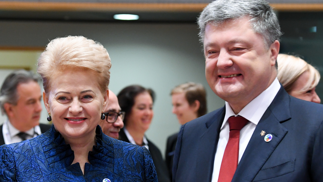 Президент Литвы сообщила, что не пожалеет никаких средств, чтобы навредить России Президент Литвы сообщила, что не пожалеет никаких средств, чтобы навредить России