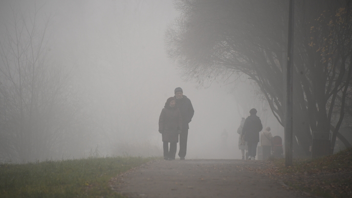 В Московской области туман стал превращаться в смог?