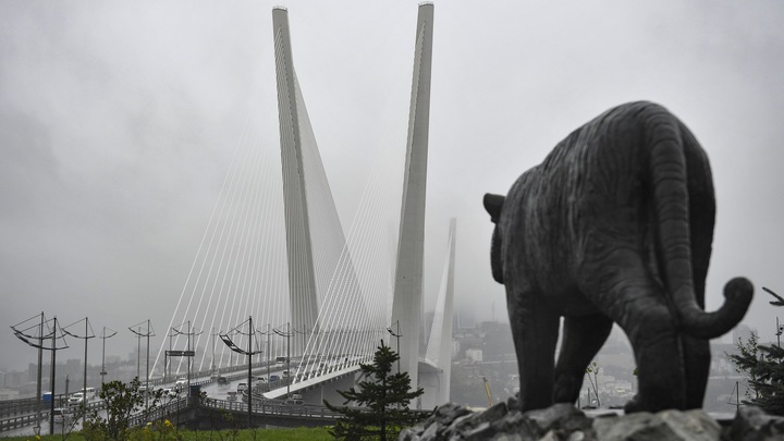 Вышли на улице Русской и пропали: Жену и сына генконсула КНДР заподозрили в бегстве