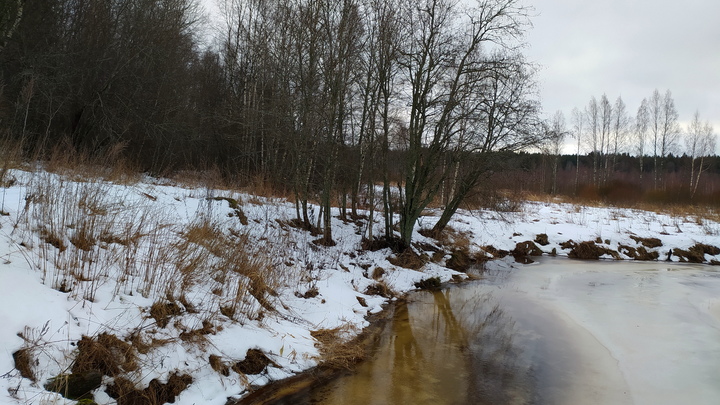 Необычная находка: Полиция пытается понять, откуда в Подмосковье появилась шайтан-труба