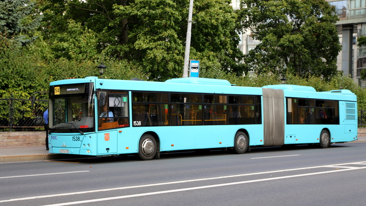 На сбившего женщину водителя автобуса завели уголовное дело