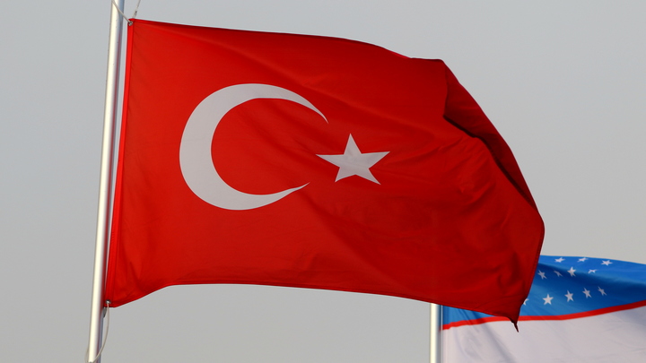 Тревога за будущее: Турция взбунтовалась после известия о готовности Украины вступить в ЕС