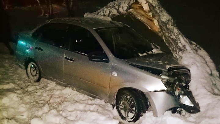 В Башкирии бесправник на Ладе вылетел в кювет и врезался в дерево