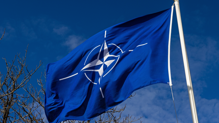 Это будет лучше НАТО. Зеленскому предложили настоящие гарантии безопасности, на которые согласится даже Россия