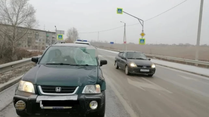 В Новосибирской области вынесли приговор пенсионеру, сбившему мать с двумя дочками