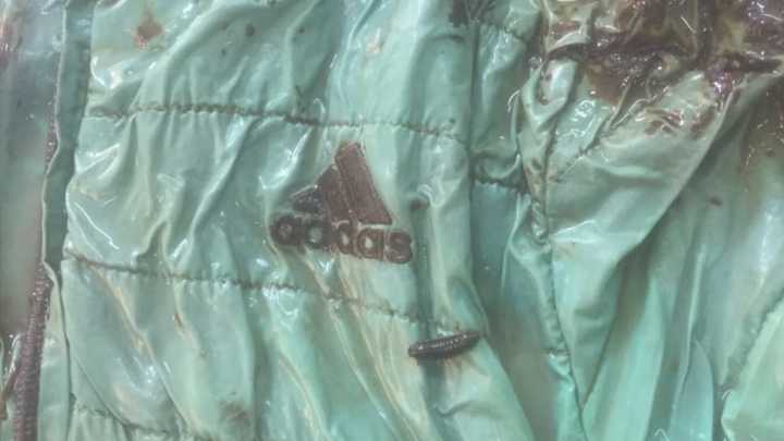 Во Владимирской области ищут тех, кто поможет следствию