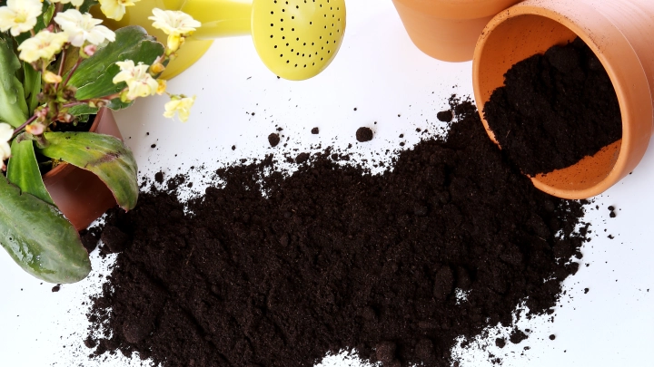 Всего доброго: Европейцы догадались, каким стало новое оружие России