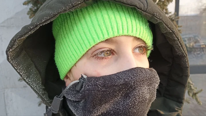 Геннадий Онищенко раскрыл условия, при которых ребёнок может не идти в школу