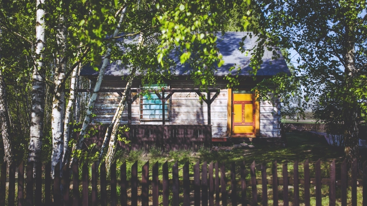 За один сорняк у жителей России начнут изымать дачи с весны 2026 года