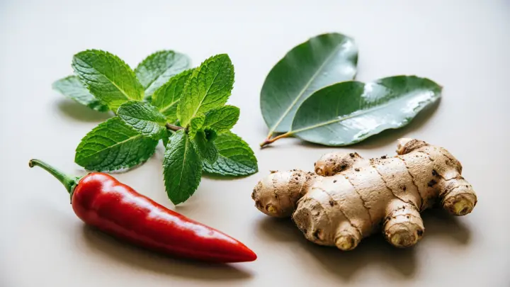Nutrients: В каких условиях мята, эвкалипт, имбирь и перец реально лечат