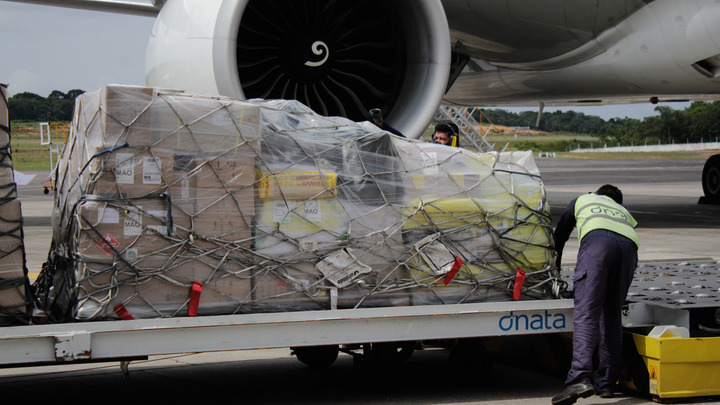 Стало известно, что перевозил рухнувший в Греции Ан-12