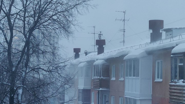 Мэр Владивостока попросил руководителей отправить работников на удаленку из-за снегопада