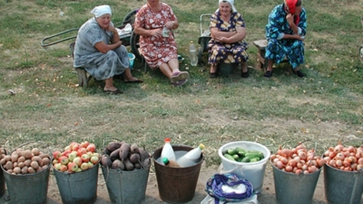 Привозной картошке в России оставили только 5%: Путин одобрил новую доктрину продовольственной безопасности