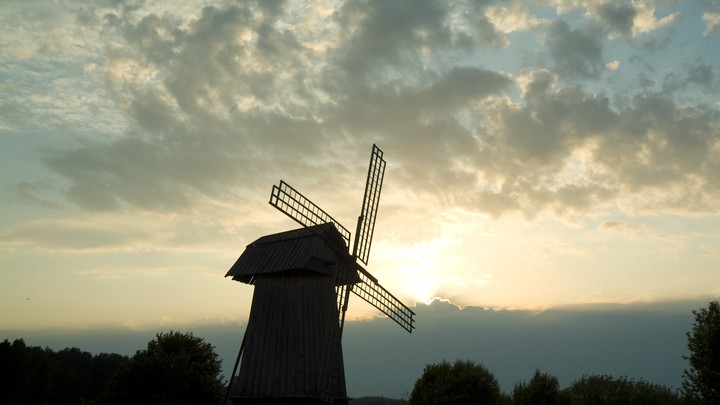 Могут закупорить желчный проток: диетолог предупредила об опасности отрубей