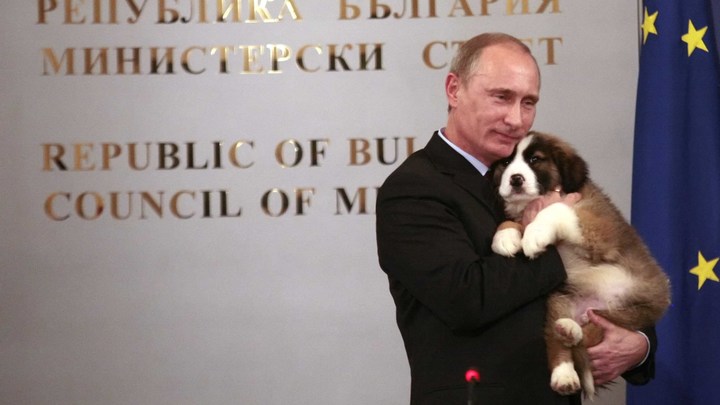 Собак - да, а кошек не видел: Витязева предупредила о санкциях, узнав новый факт о Путине