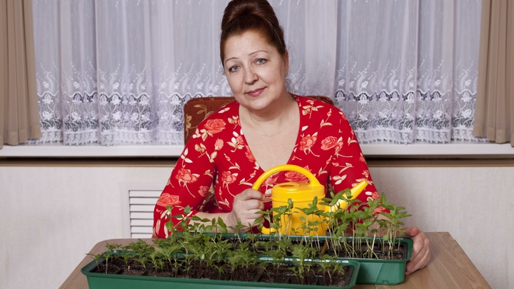 Американская туристка назвала главную особенность русских: Поняла, как вы выживаете