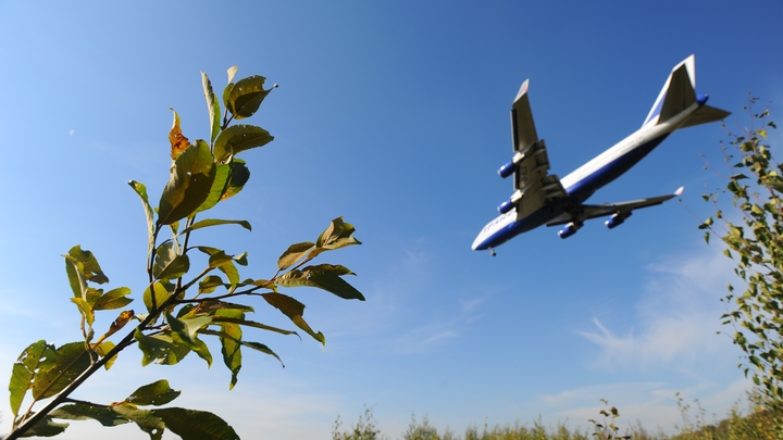 Самолет Екатеринбург — Сочи прервал взлет из-за сигнала о столкновении