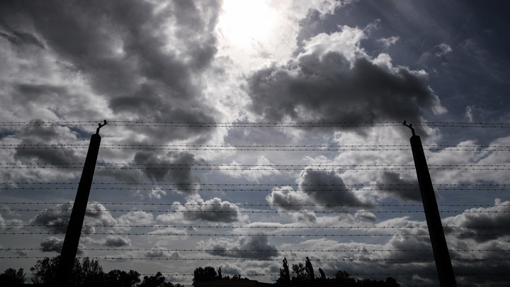 Евреи вызвали Холокост? Ответы молодых американцев потрясли социологов