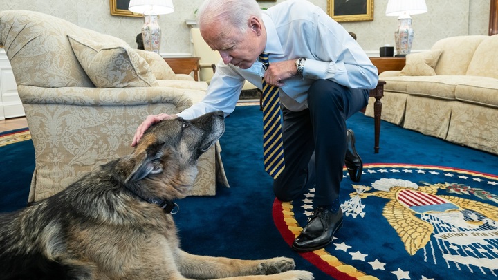 Прожил с Джо 13 лет и умер: В семье Байденов случилась трагедия