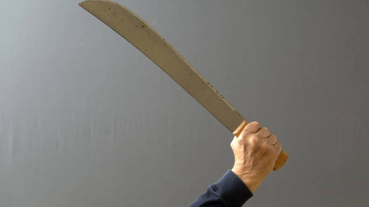 Генконсульство России выясняет обстоятельства нападения на русских в Гоа