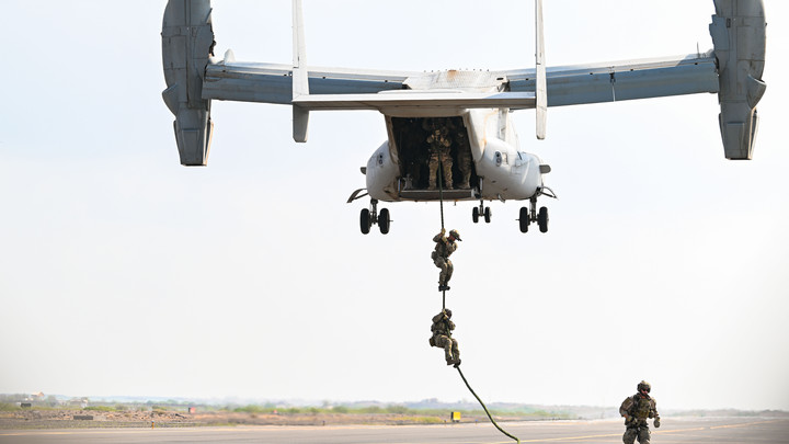 Загадочные смерти офицеров НАТО снова совпали с ударами Калибров. Только факты