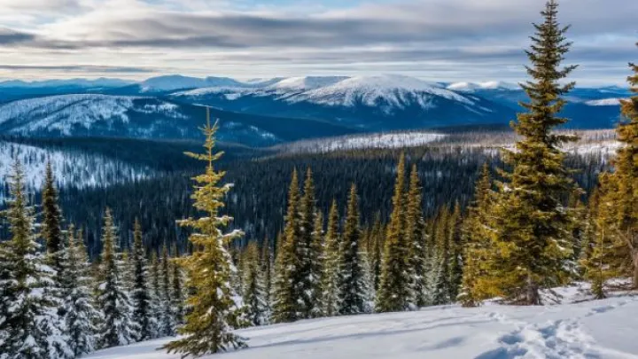 Кто сможет найти Усольцевых? Внезапное заявление от участника поисков - он знает ответ