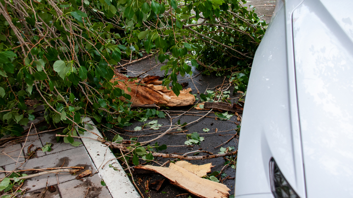 Ураган в Поволжье - только разминка. Сотрудник РАН вынес предупреждение для России от Крыма до Коми