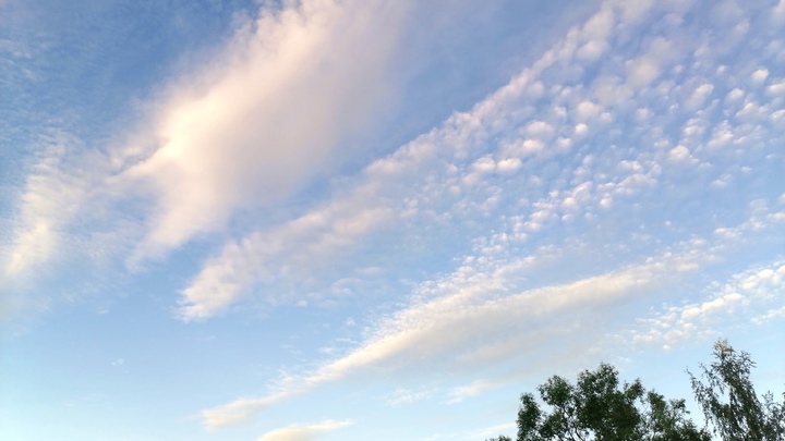 Замечательная погода: мощный антициклон принесёт в Петербург и Ленобласть аномальное тепло