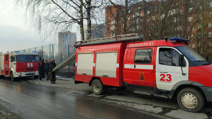 В Котельниках девочка выкинула кота и собаку из окна во время пожара