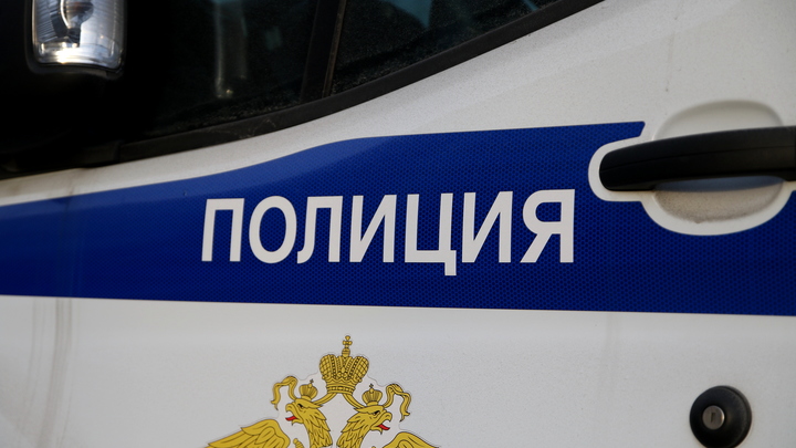 В Подмосковье задержаны лжеполицейские