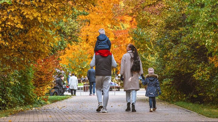 Более 94% сирот в Москве нашли приёмные семьи - Собянин