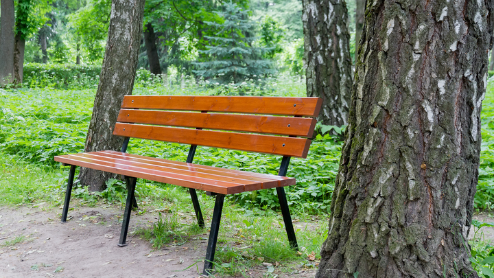 В екатеринбургском парке неадекват ударил девочку и кидался на других людей