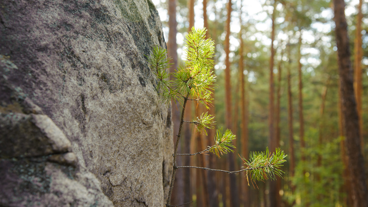 Скалолазка упала со скалы и разбилась насмерть на Среднем Урале