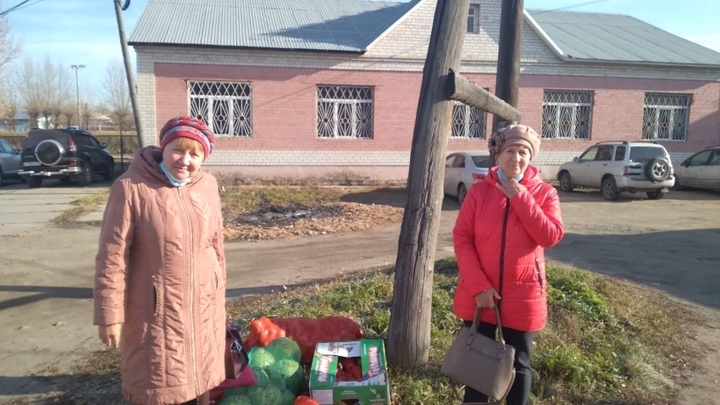 Читинским дачникам, потерявшим урожай из-за паводка, дадут по 160 кг овощей