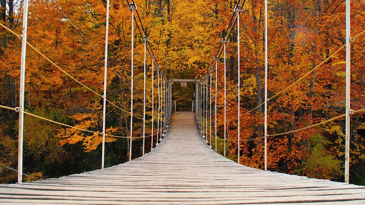 Зимой – все включено: 40% турпотока на Кубань приходится на холодные месяцы