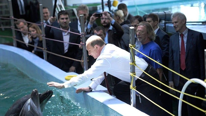 Два друга Путина: Все знают о легендарном фото, но видео всплыло впервые