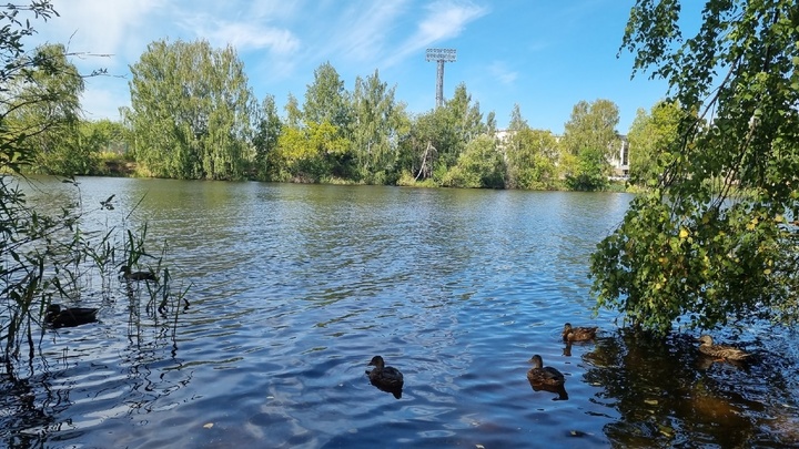 Нижегородский Роспотребнадзор назвал водоёмы, в которых опасно купаться