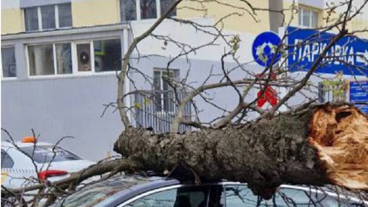 В Краснодаре действует режим повышенной готовности