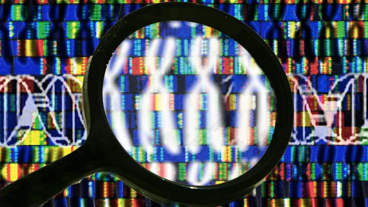 Предъявите паспорт и ДНК: В России хотят расширить обязательную геномную регистрацию