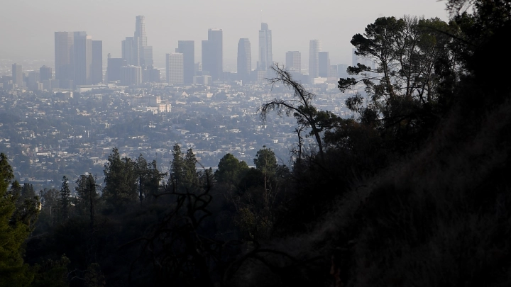 Страшно и загадочно: Люди пытаются понять, откуда взялись гигантские буквы с мольбой о помощи на Google Maps