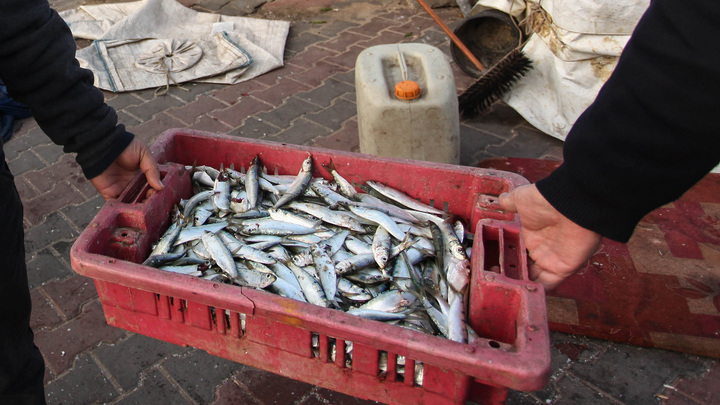 От рыбы до малины: Медики назвали самые полезные продукты для кишечника