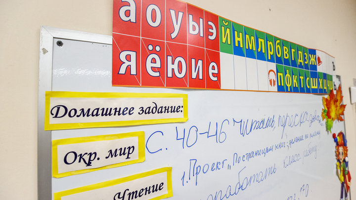В Подмосковье откроют спецшколы для обучения детей мигрантов русскому языку
