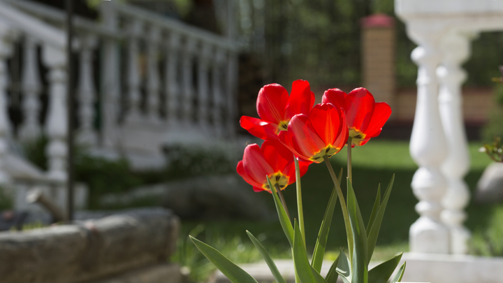Длинных праздников не будет: думский Комитет по труду выступил против выходных с 1 по 9 мая