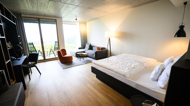 Туристов из Европы обвинили в завозе клопов в отели Турции