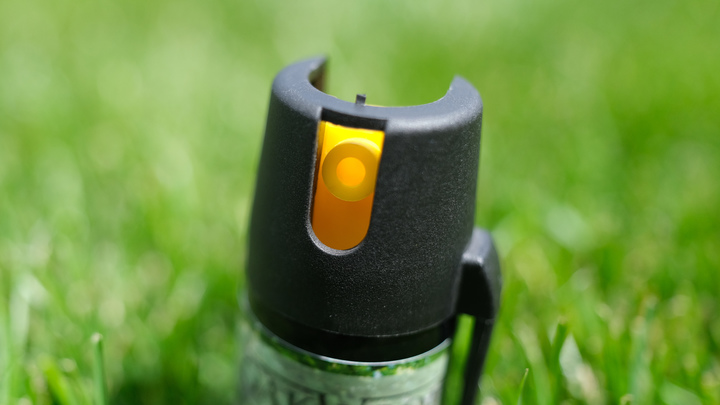 Киевские школьники напали на сотрудника посольства США